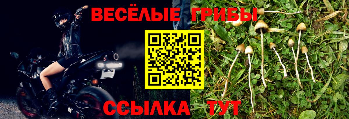 Псилоцибиновые грибы прущие грибы Джанкой